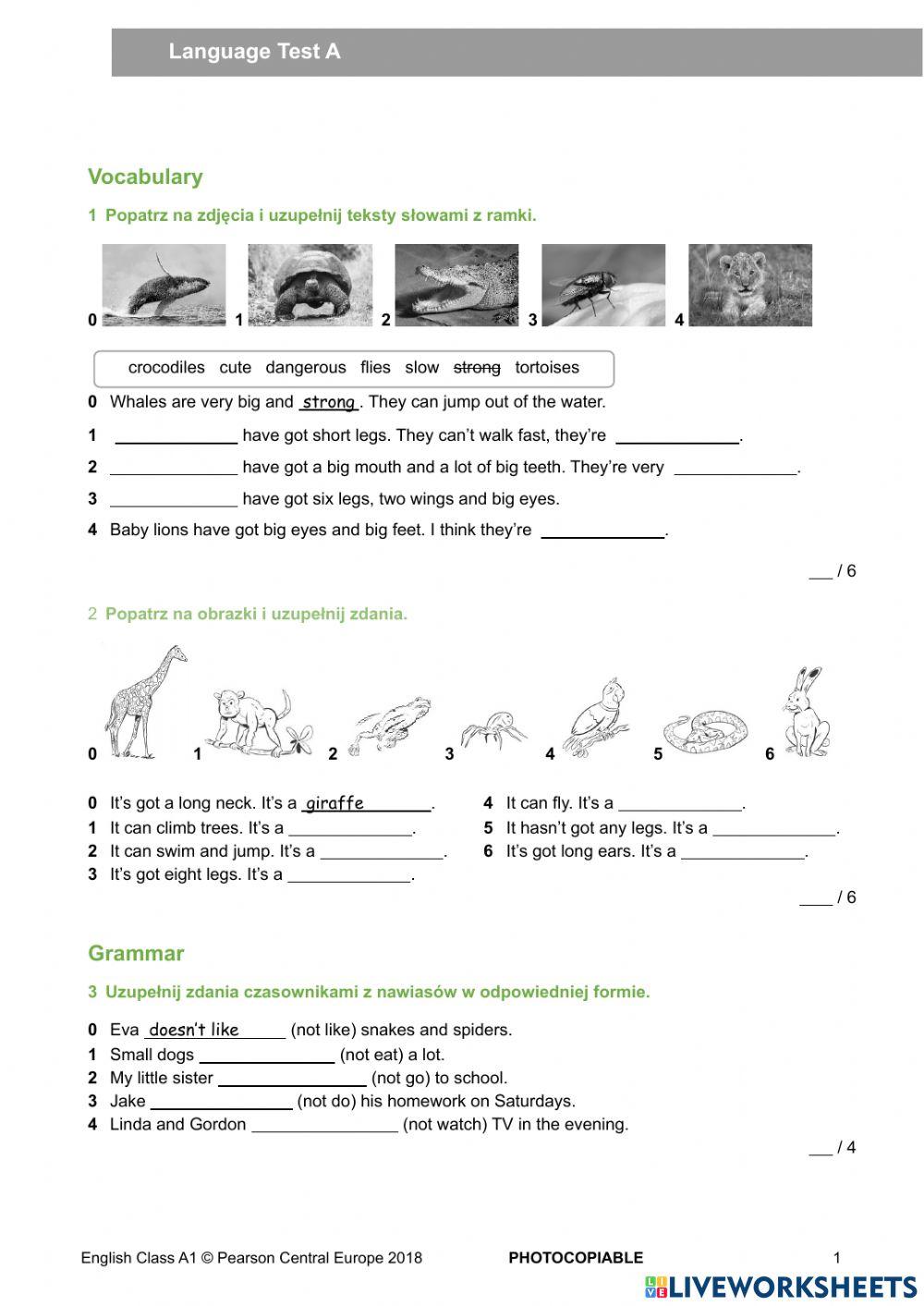 English Class A1 Unit 7