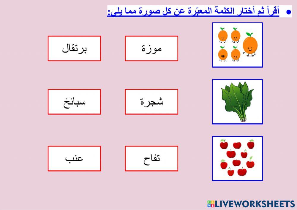 في السوق المركزي - الثروة اللغوية (١)