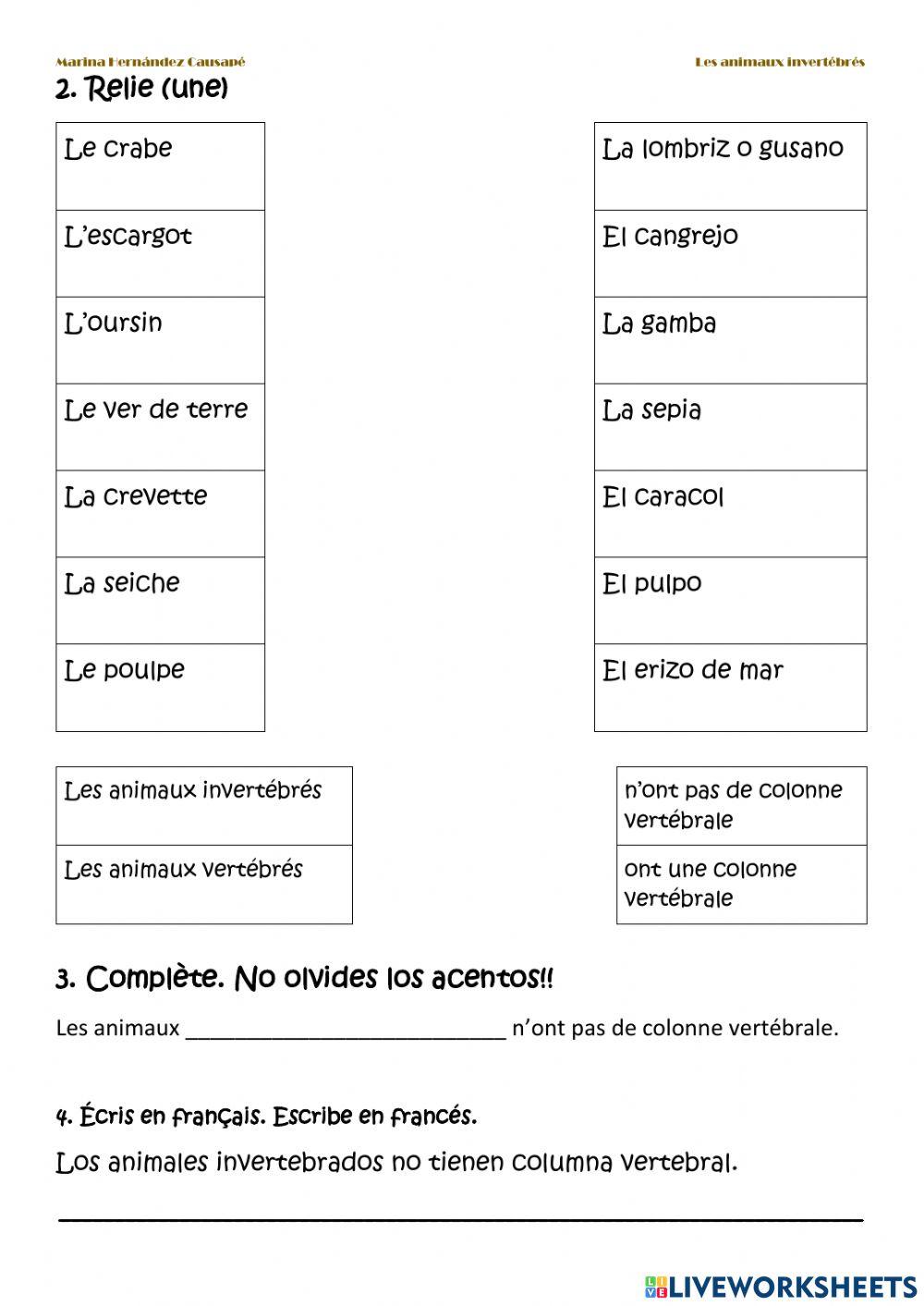 Les animaux invertébrés