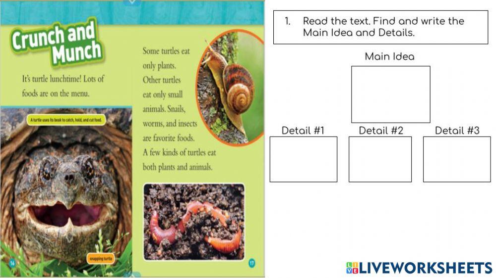 Main Idea and Details 3