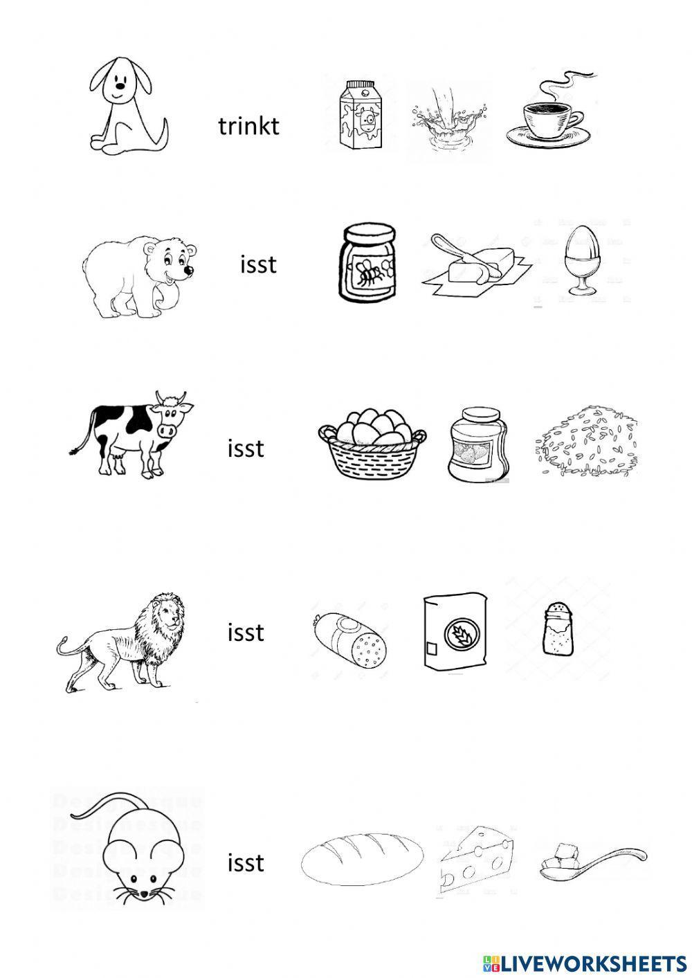 Was essen-trinken die Tiere