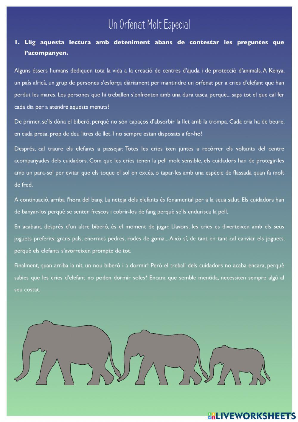 Lectura Comprensiva. Un orfenat molt especial Lectura Comprensiva. Un orfenat molt especial