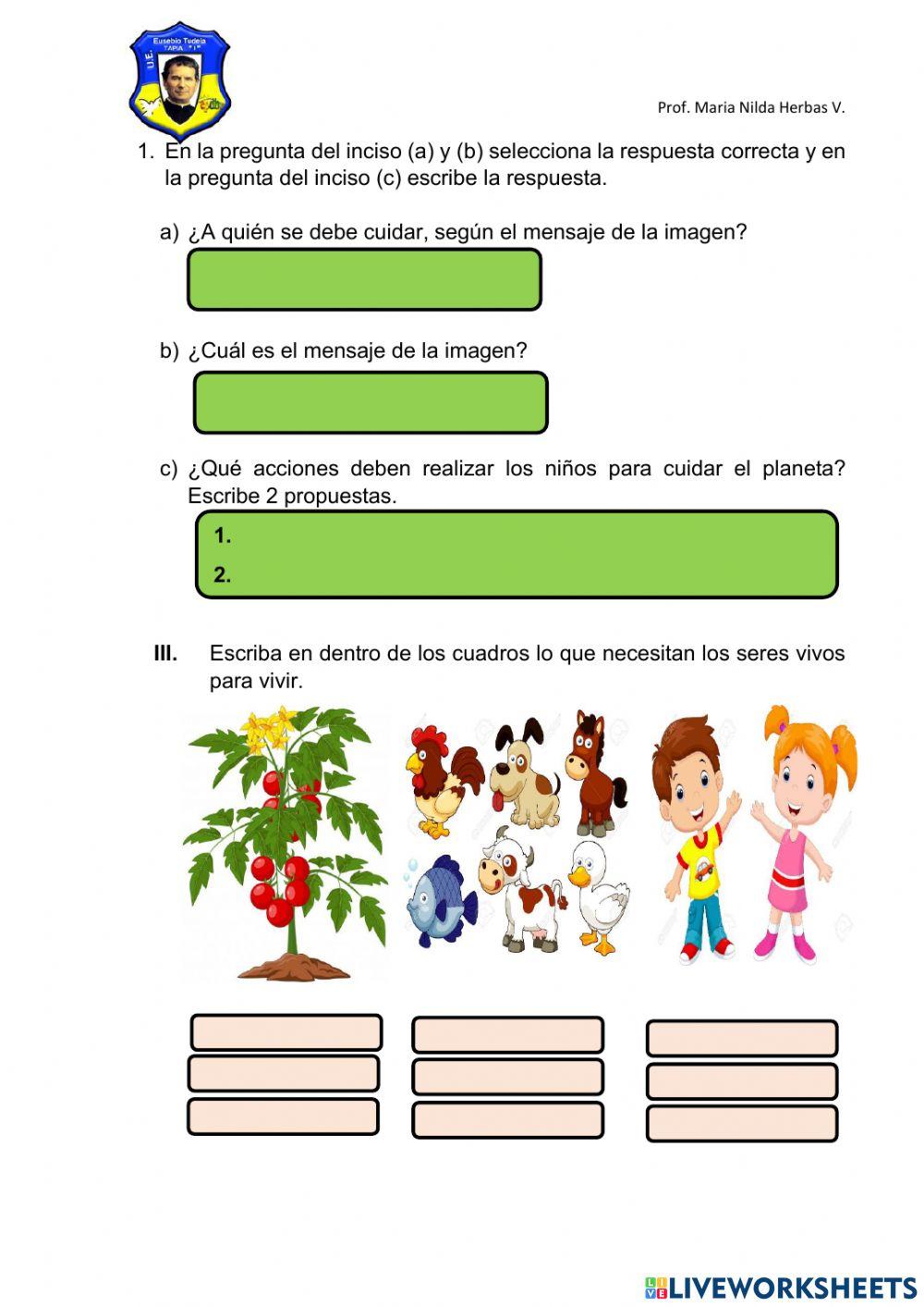 Evaluación de contenidos