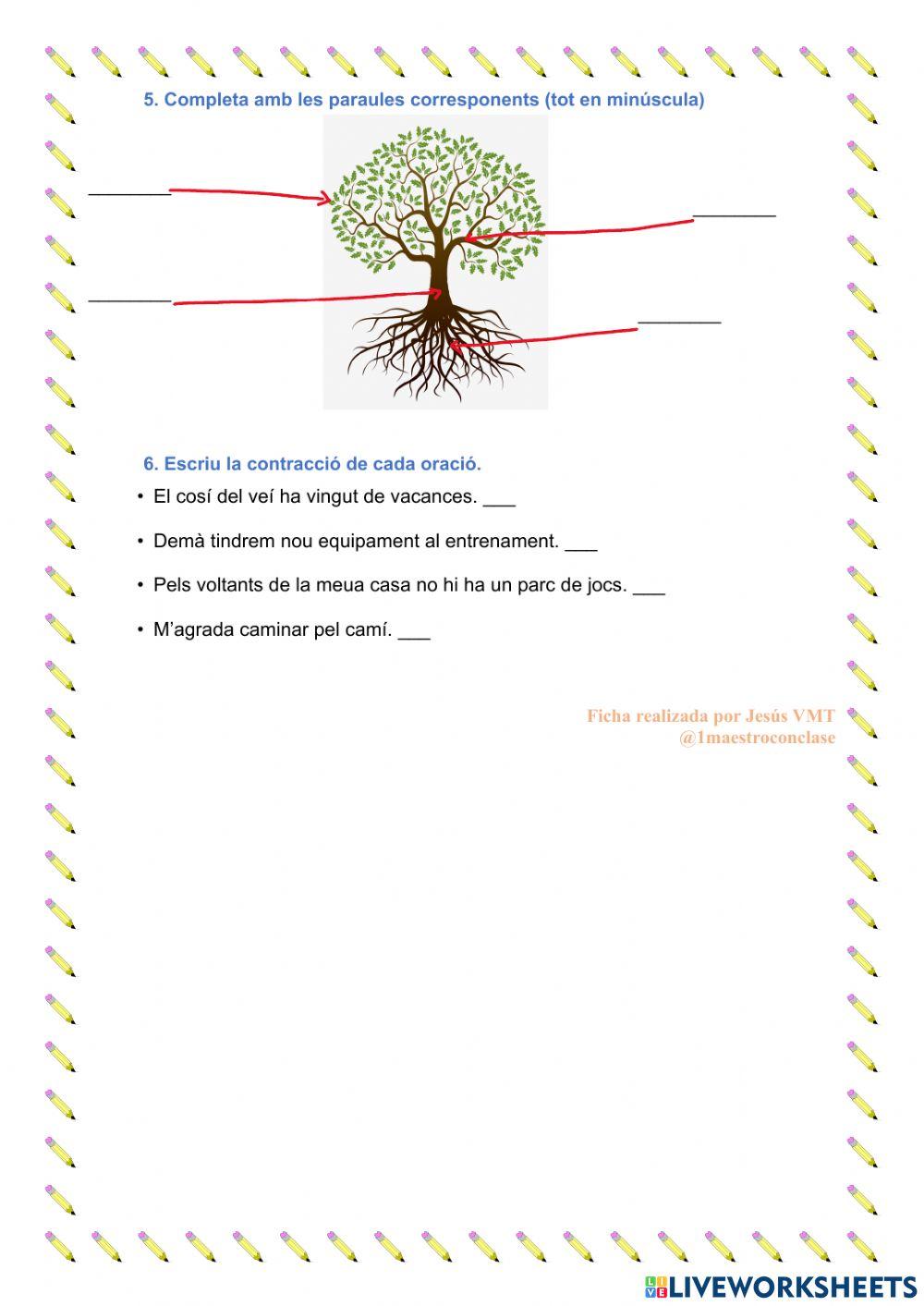 Repaso tema 8 valenciano