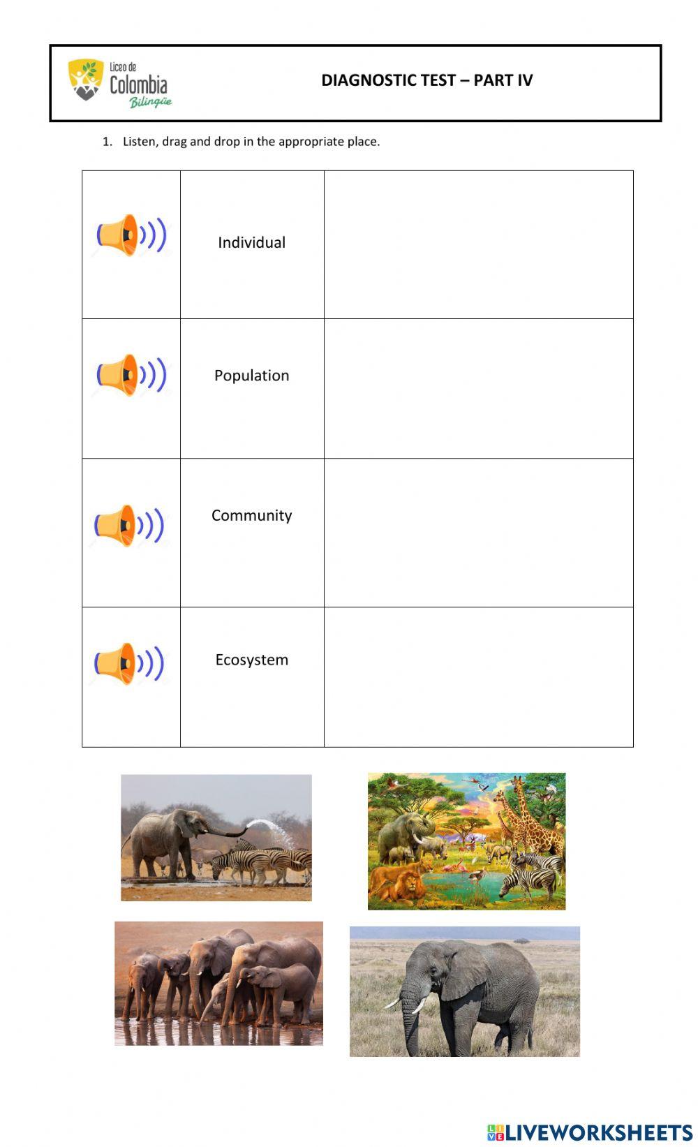 Animals organization