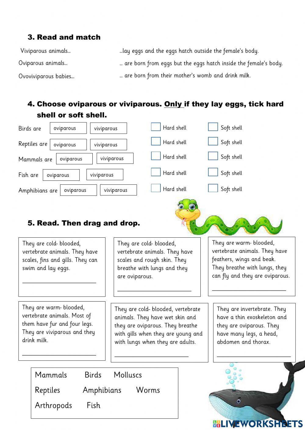 Vertebrate animals