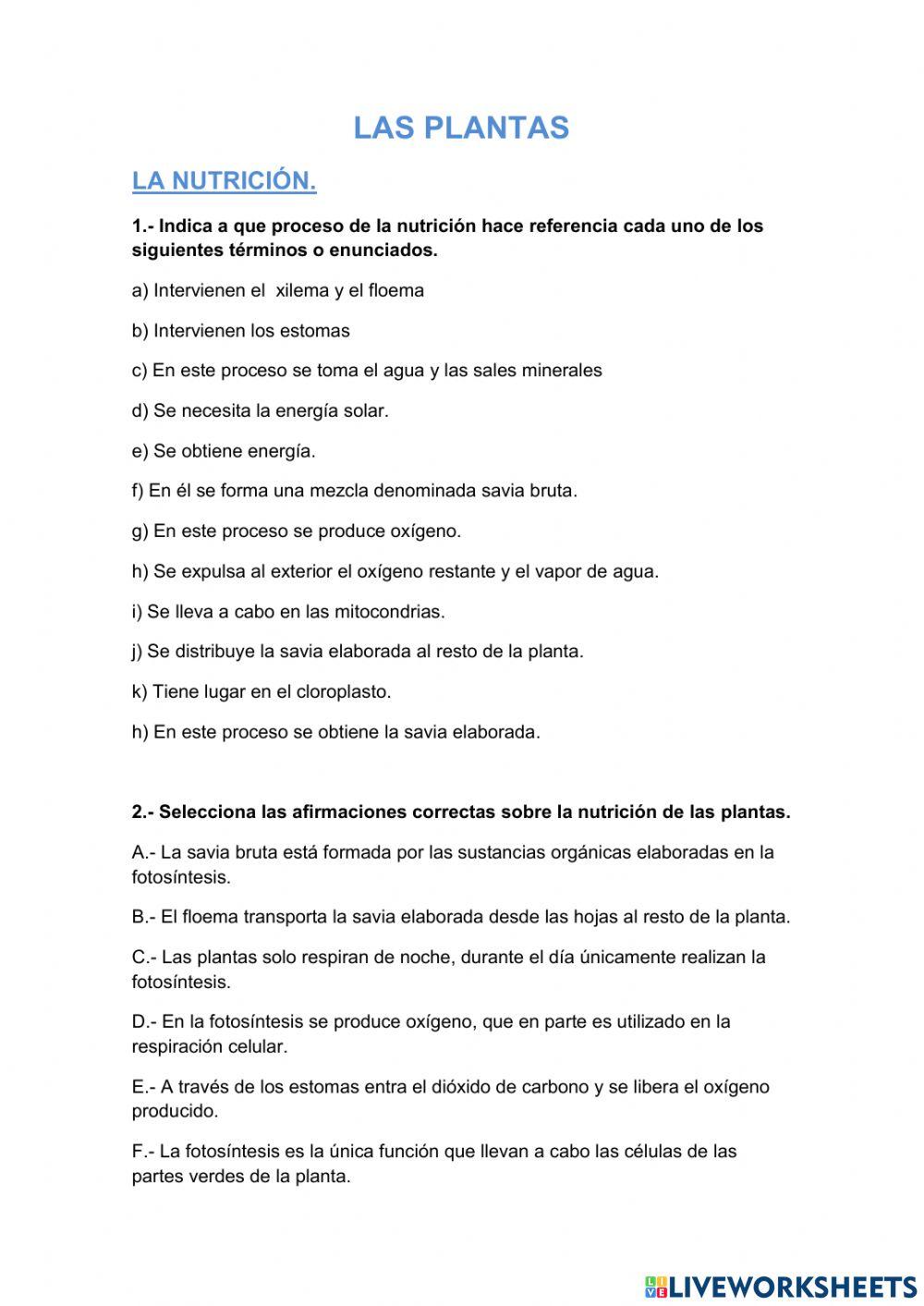 Las plantas. Nutrición