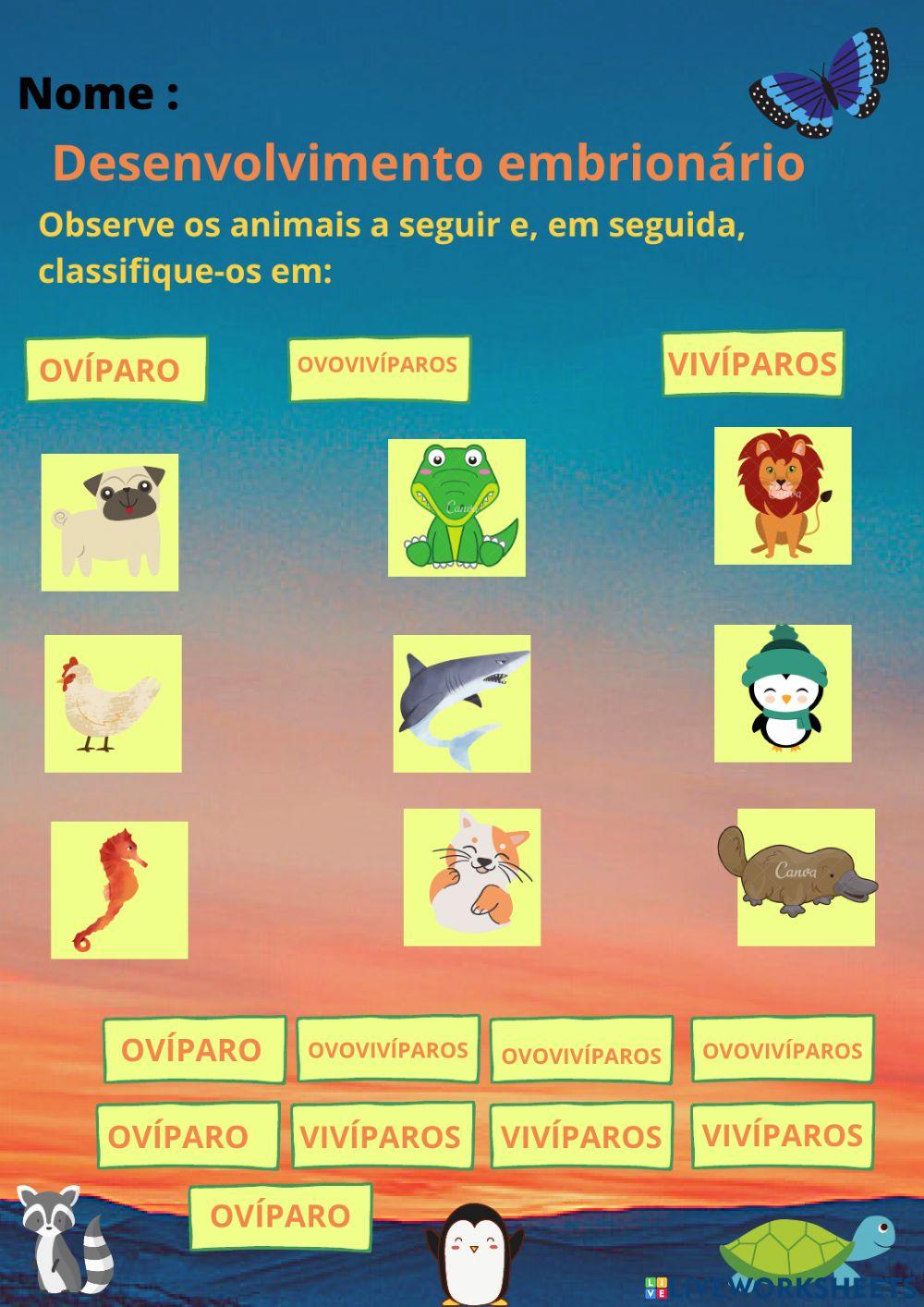 Desenvolvimento embrionário