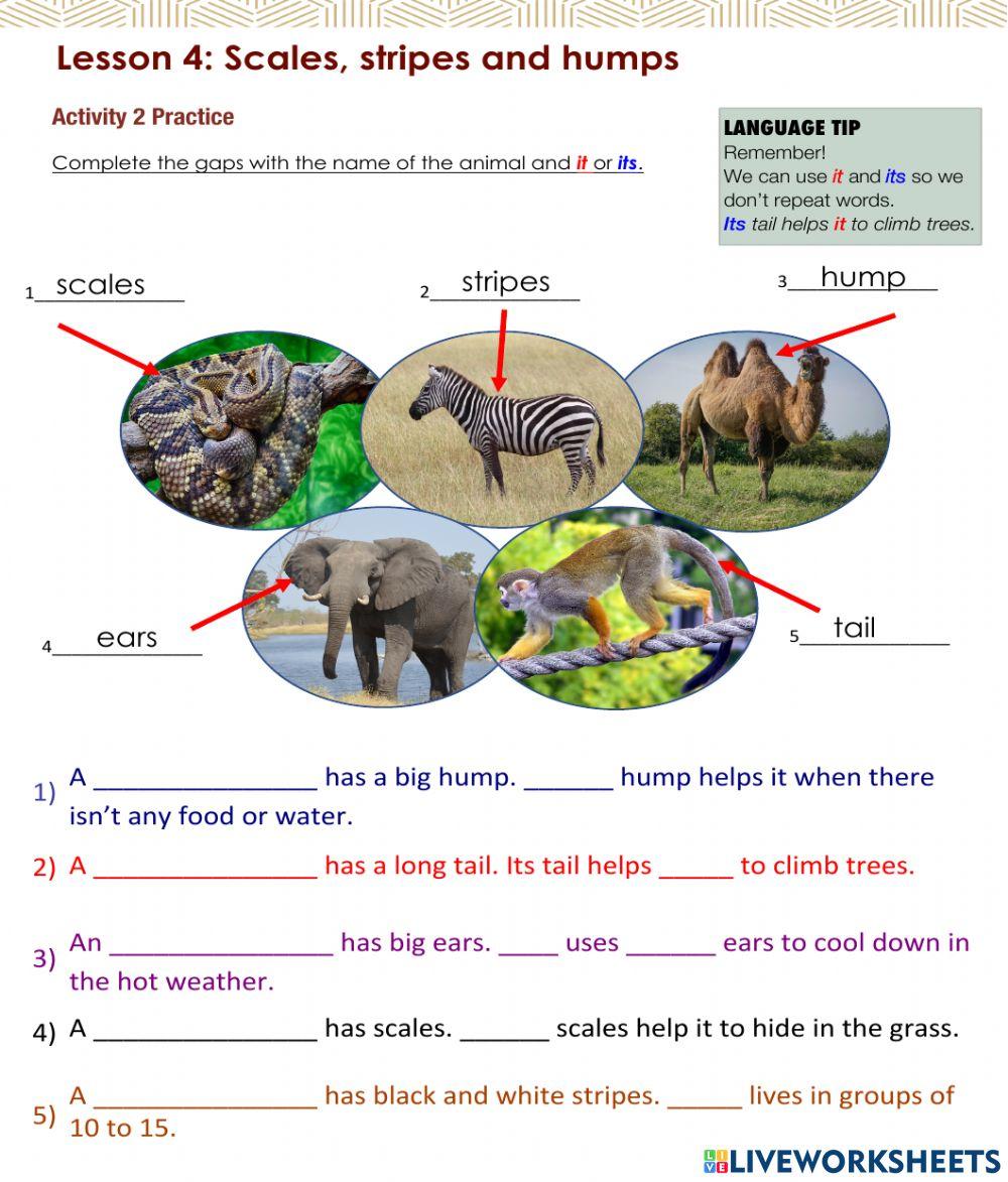 Access 6 - T3 - U8 - L4 - Act 2