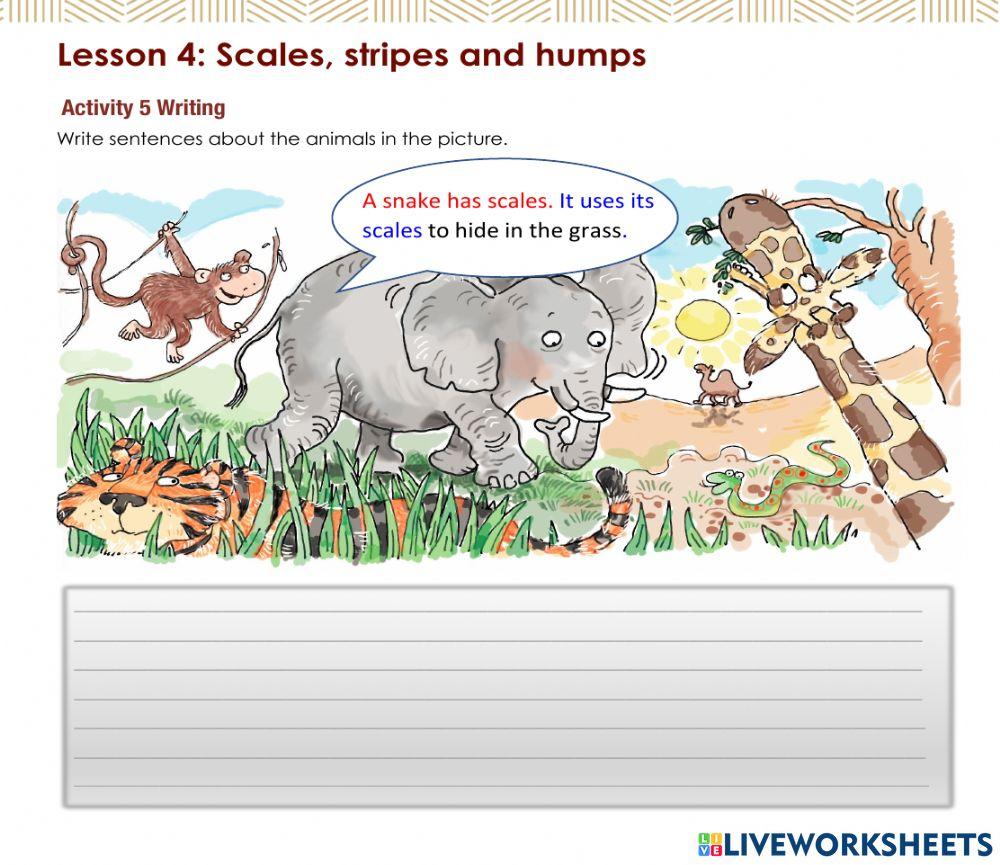 Access 6 - T3 - U8 - L4 - Act 5