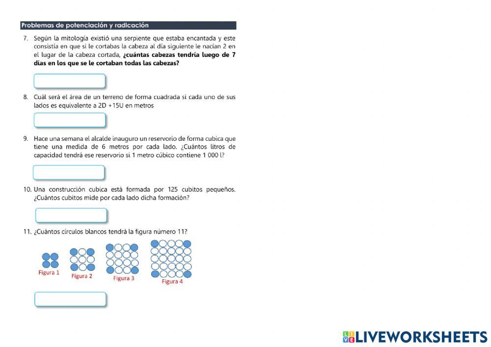 Evalaución de entrada