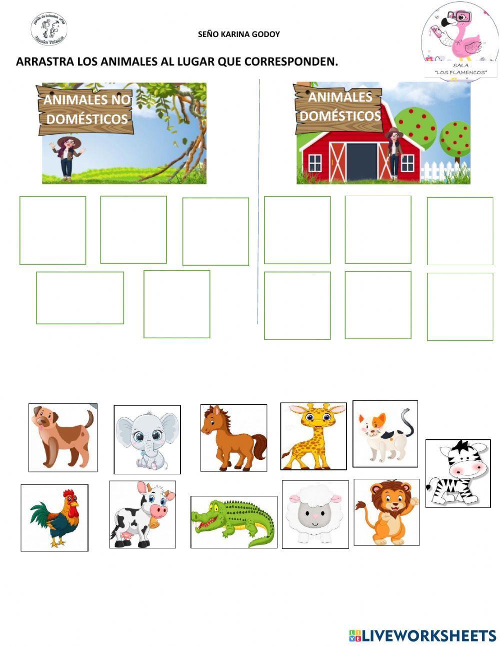 Animales domésticos y no domésticos