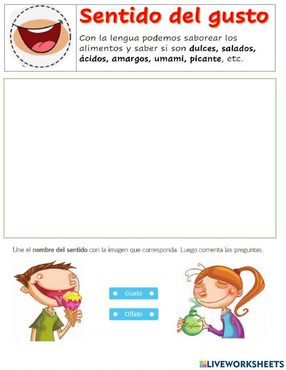 El olfato y el  gusto