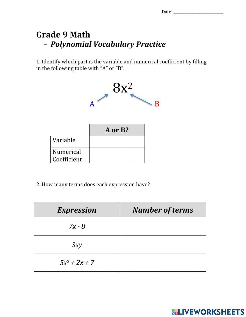 Grade 9 Polynomial Vocabulary Practice