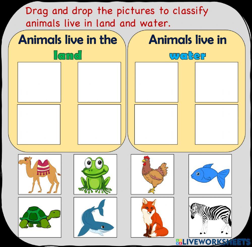 Animals live in water