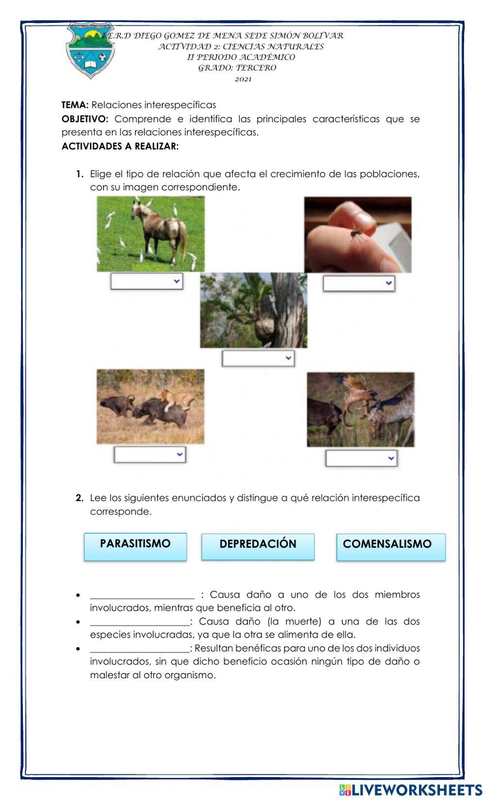 Relaciones entre seres vivos