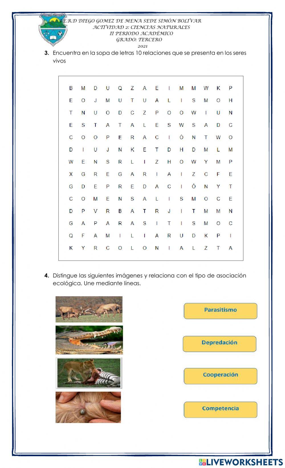 Relaciones entre seres vivos