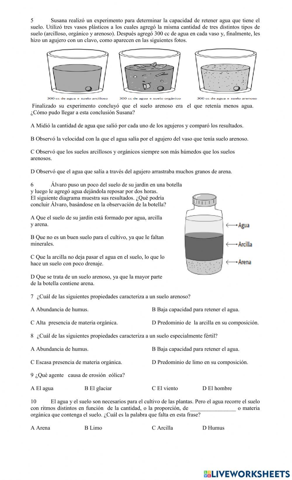 Tipos de Suelo y Erosión