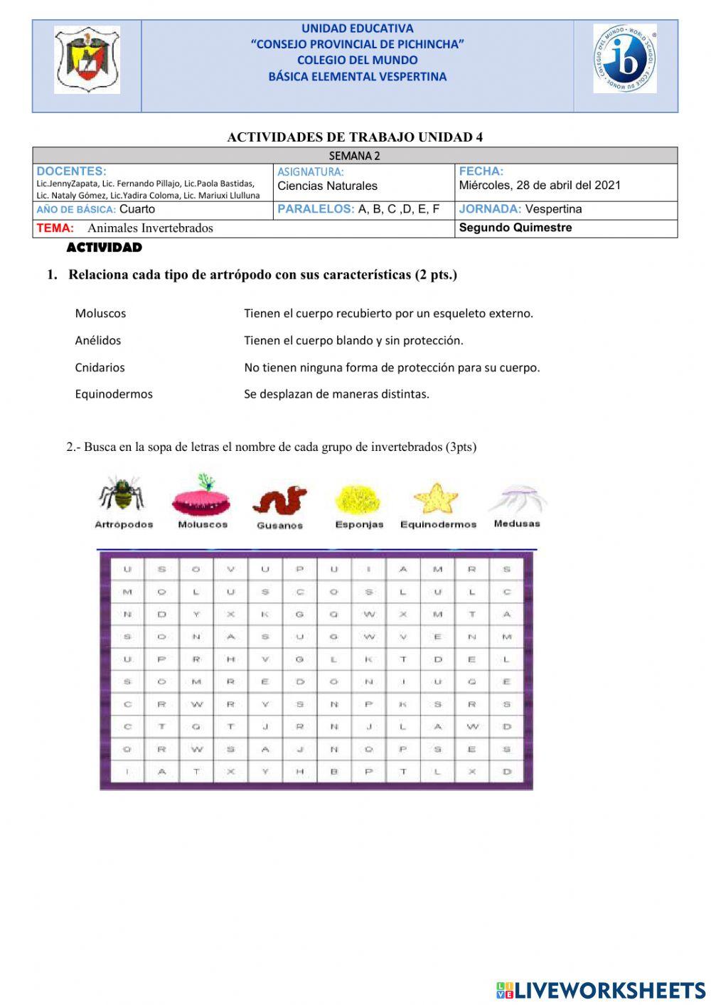 Animales invertebrados