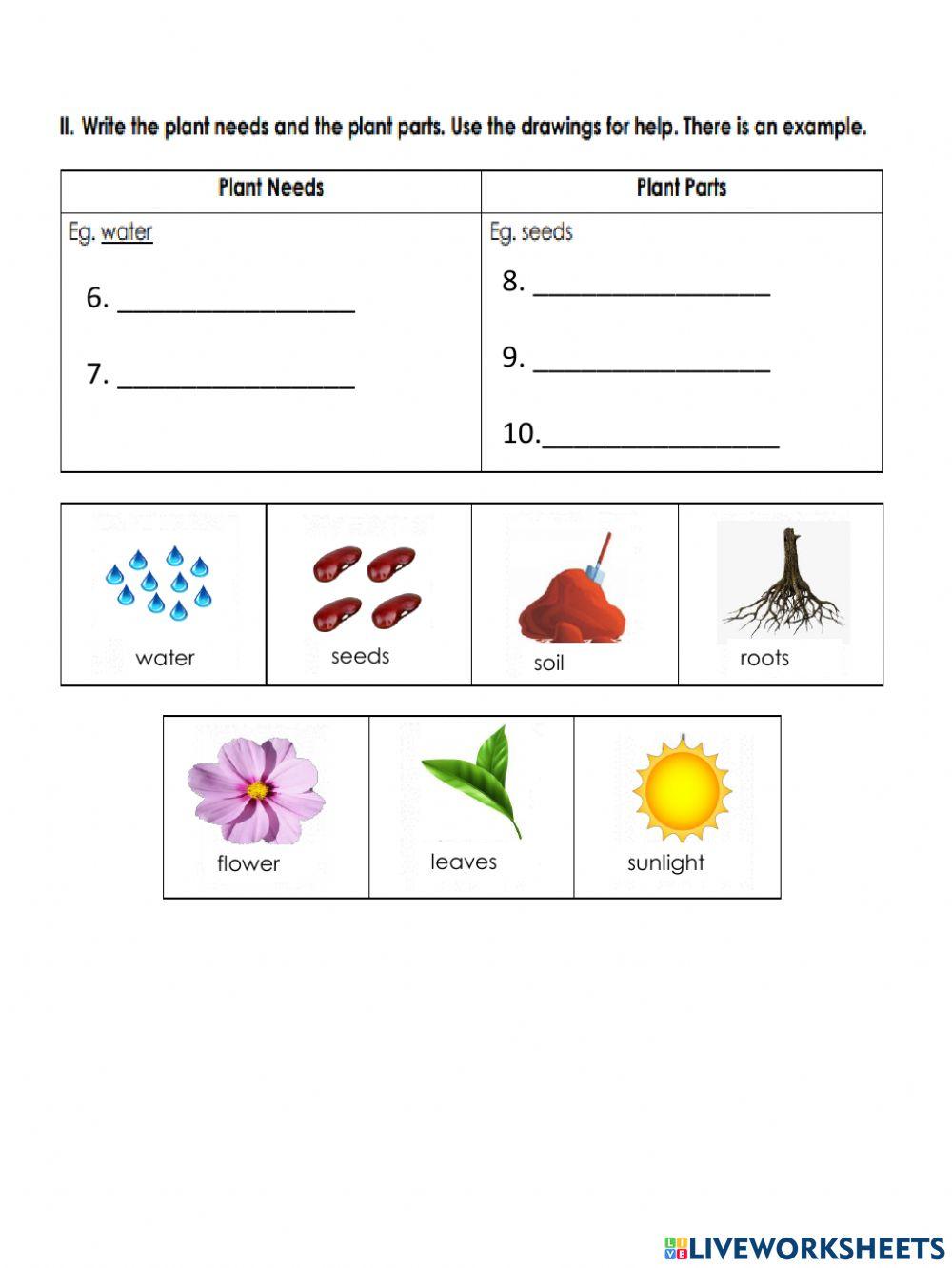 2nd grade quiz product 8