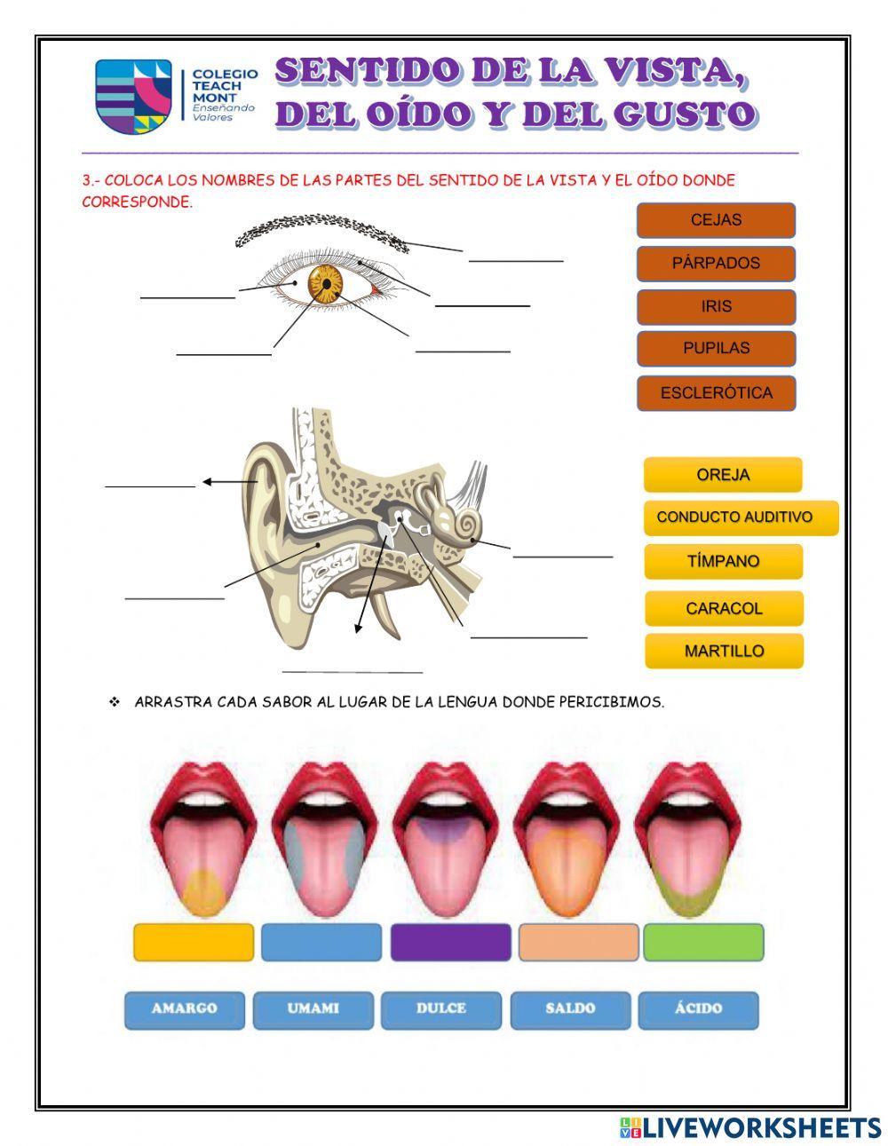 Aplicación de conocimientos