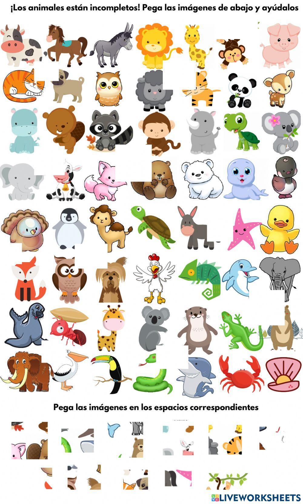 Neuropsicología: Atención y fluidez verbal