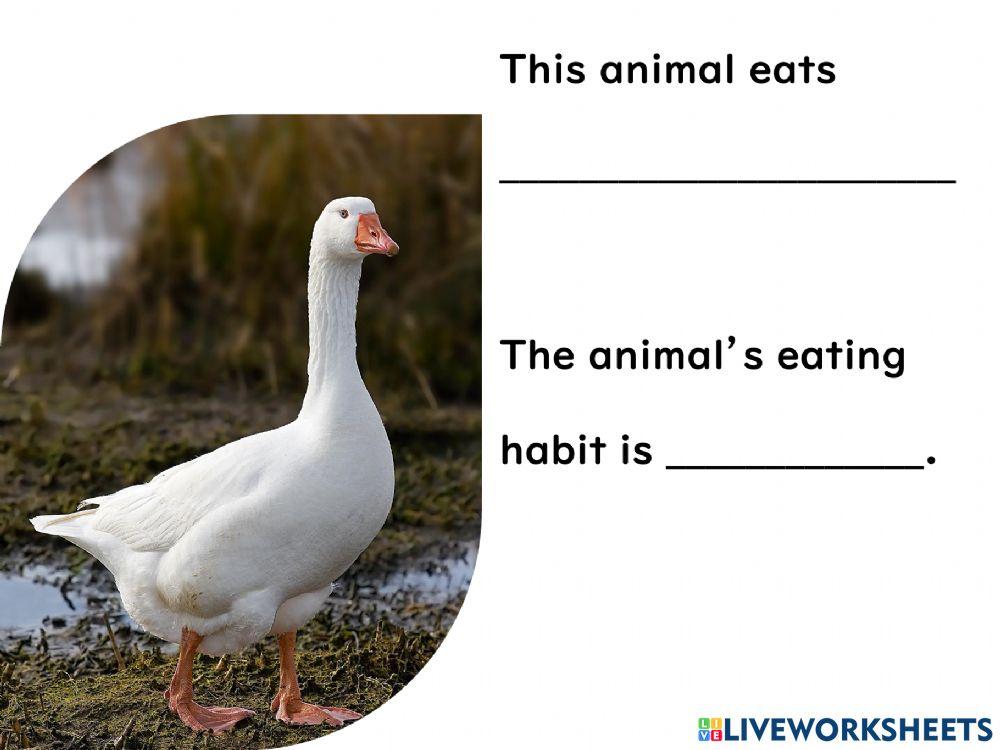 Science Year 3 PdPRW14 Unit 4 Tuesday 28.04.2021