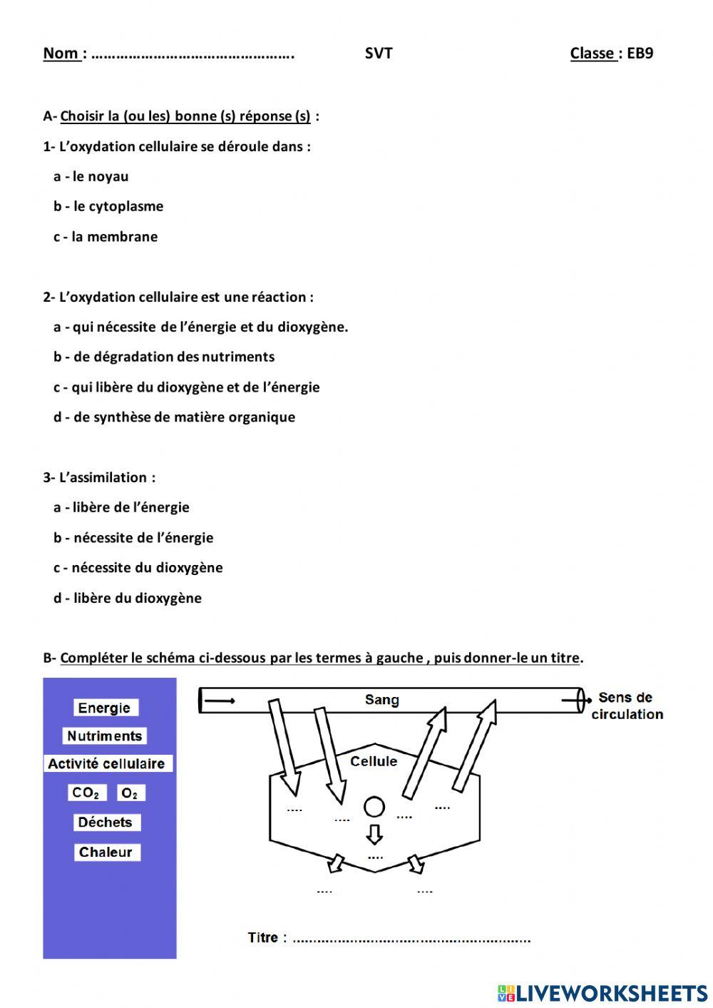 Oxydation et assimilation