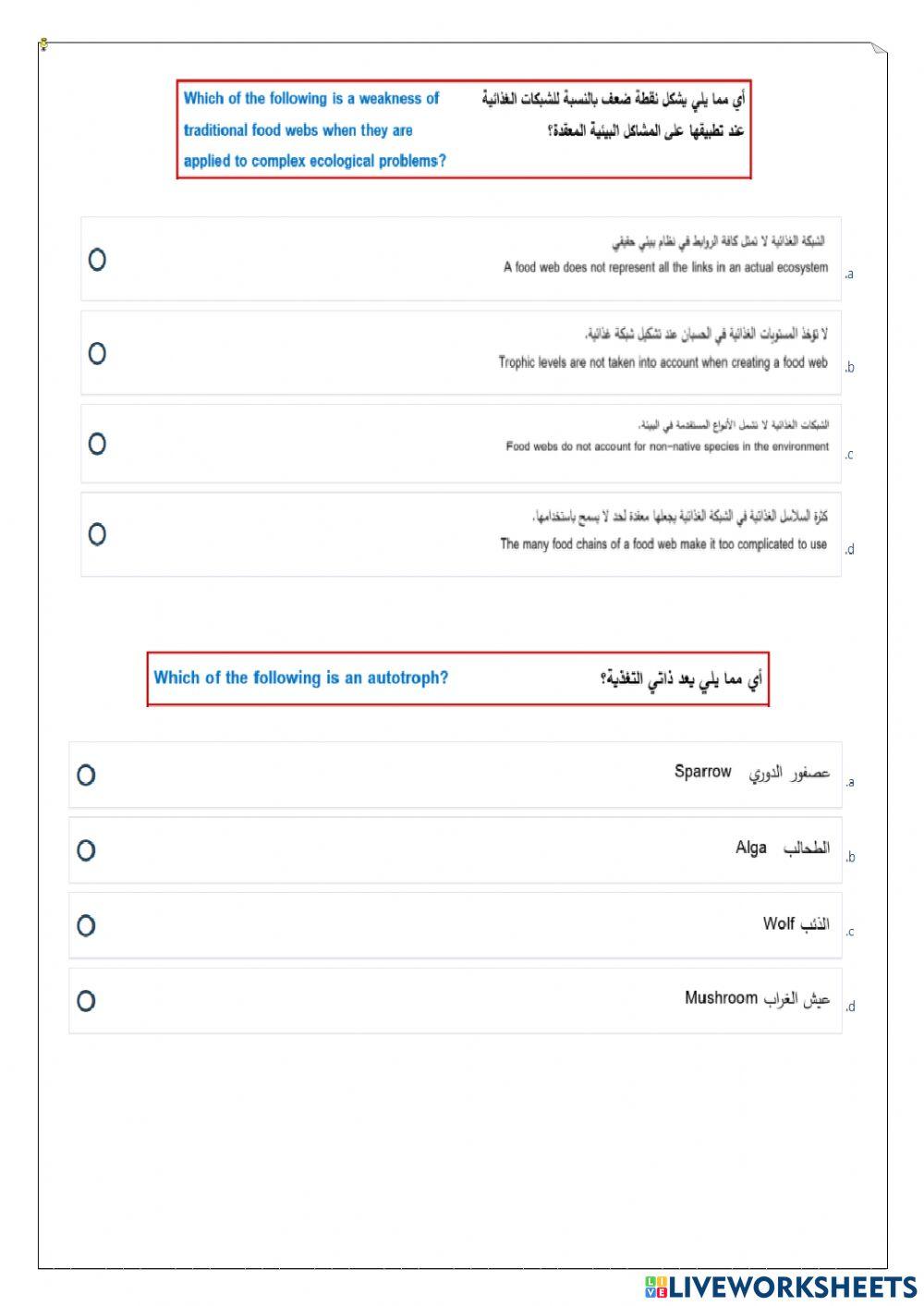 ورقة عمل تفاعلية