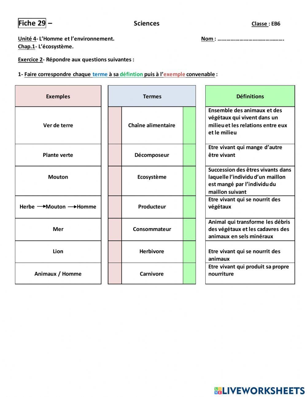 Exercices (Ecosystème)