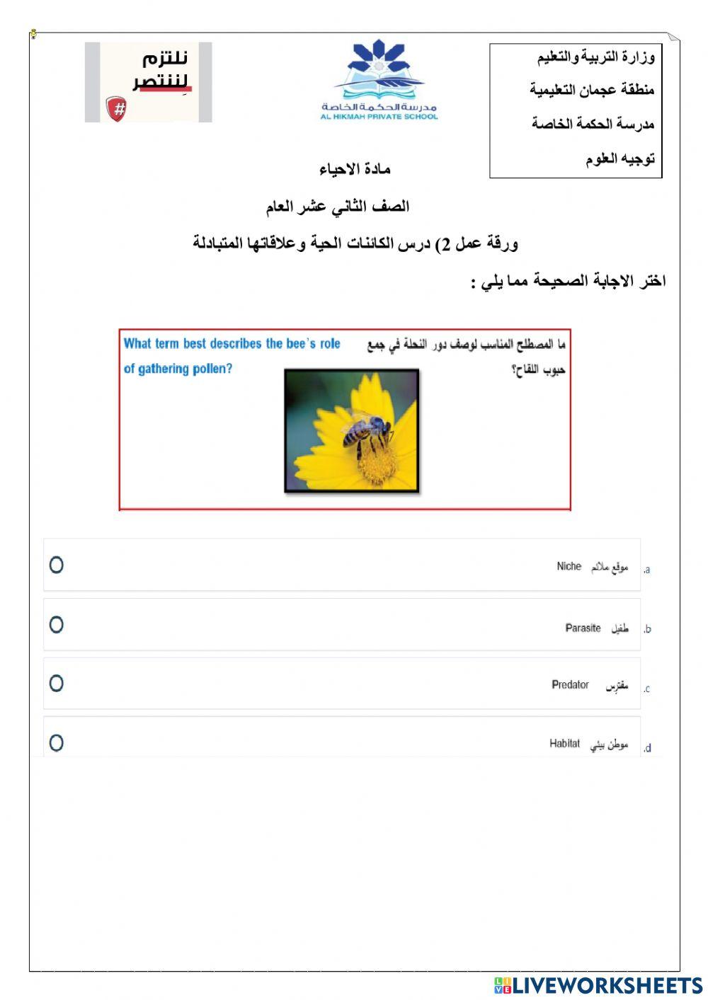 ورقة عمل تفاعلية