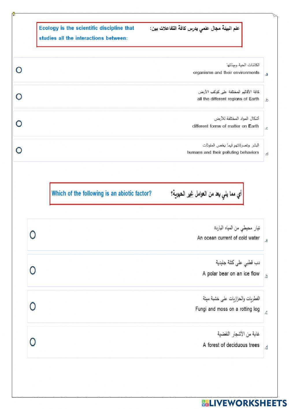 ورقة عمل تفاعلية