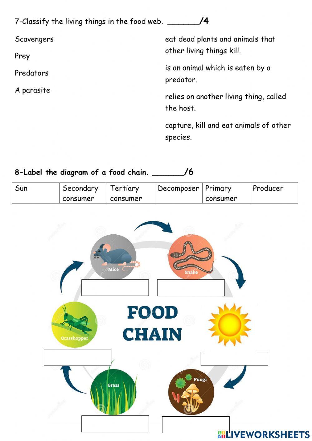Unit 3- the biosphere