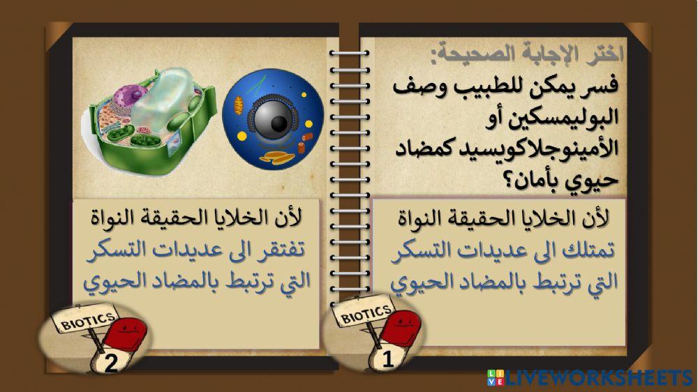 مراجعة وحدة أنماط الأمراض