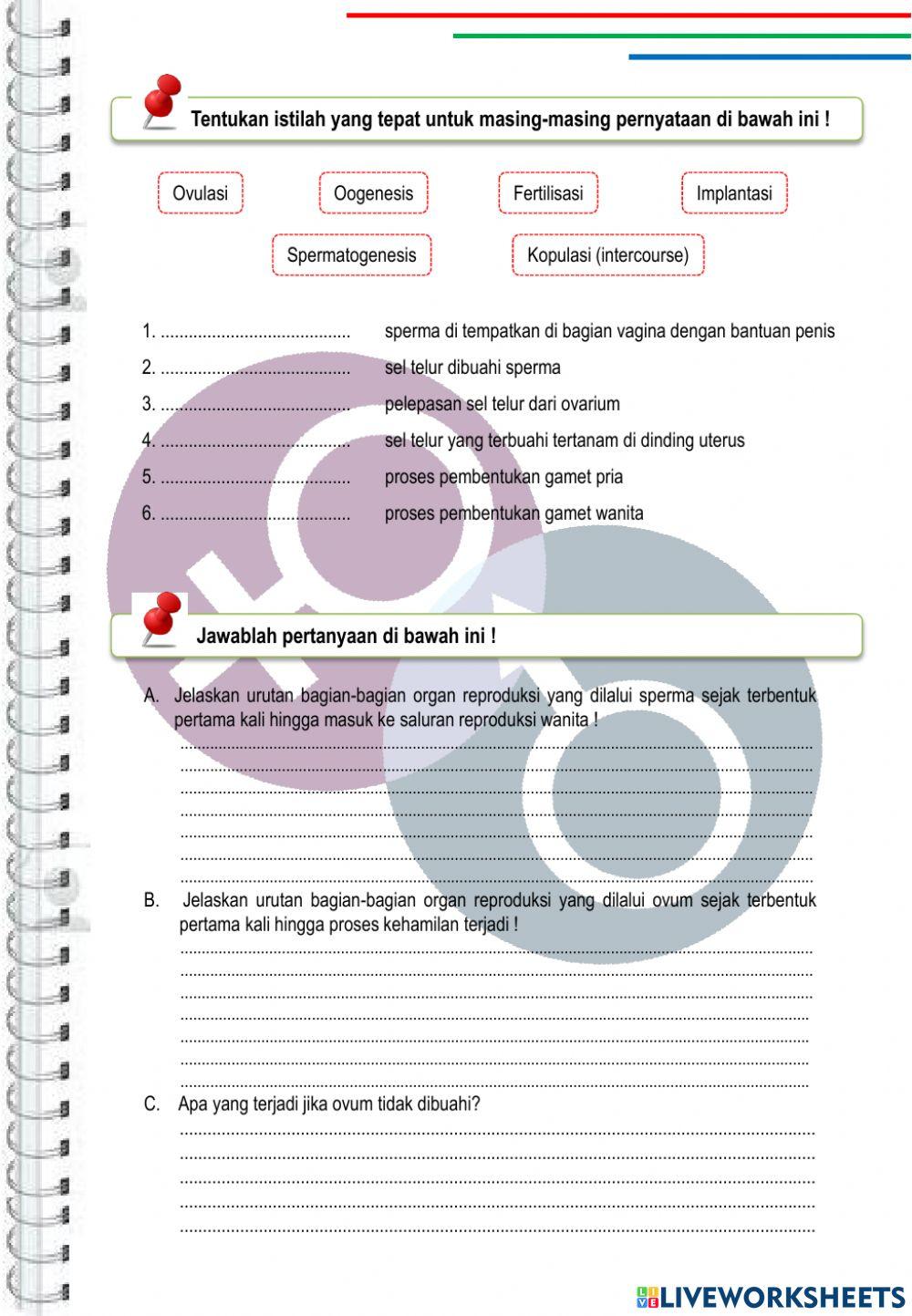 Lkpd sistem reproduksi