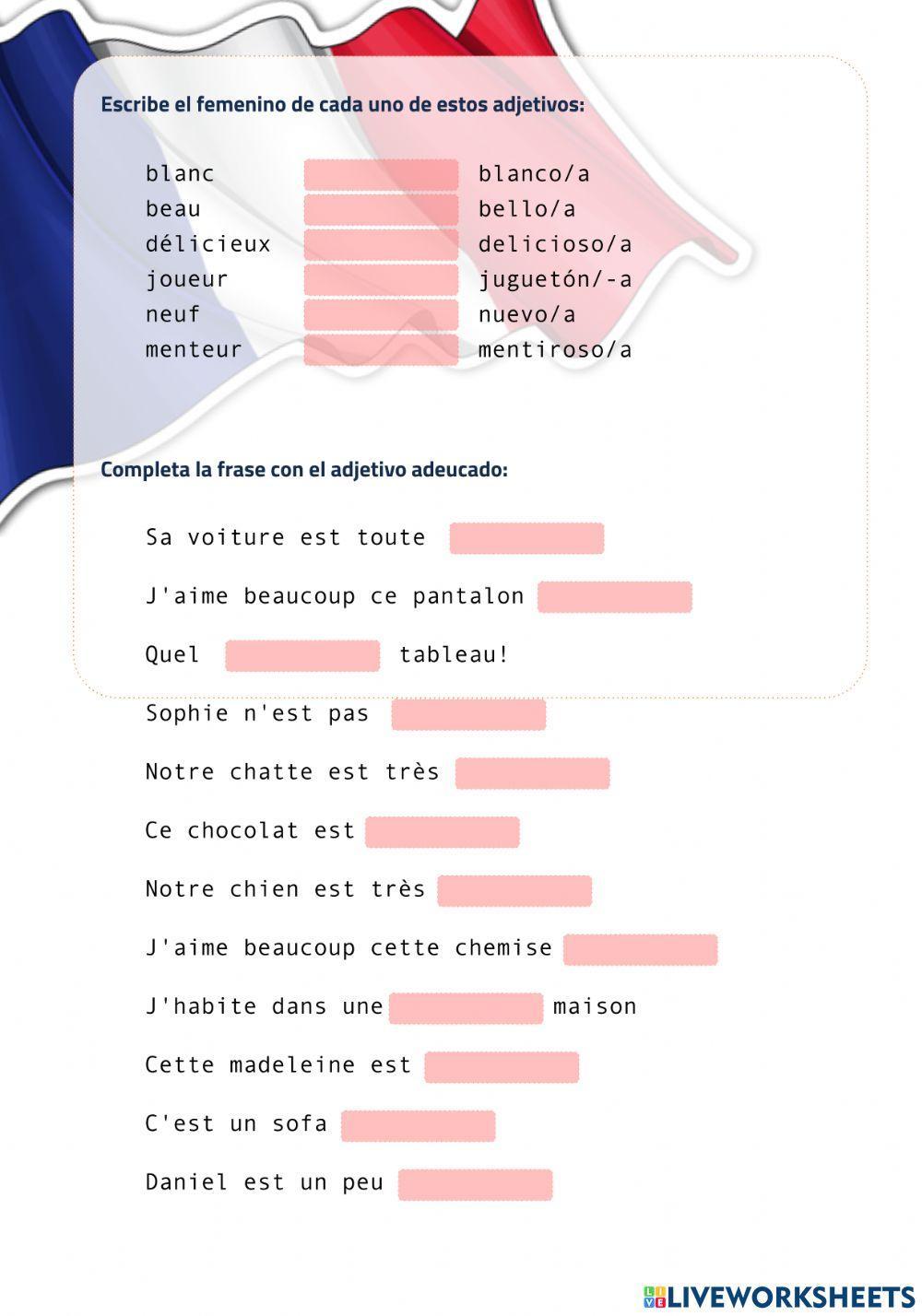 L'adjectif qualificatif