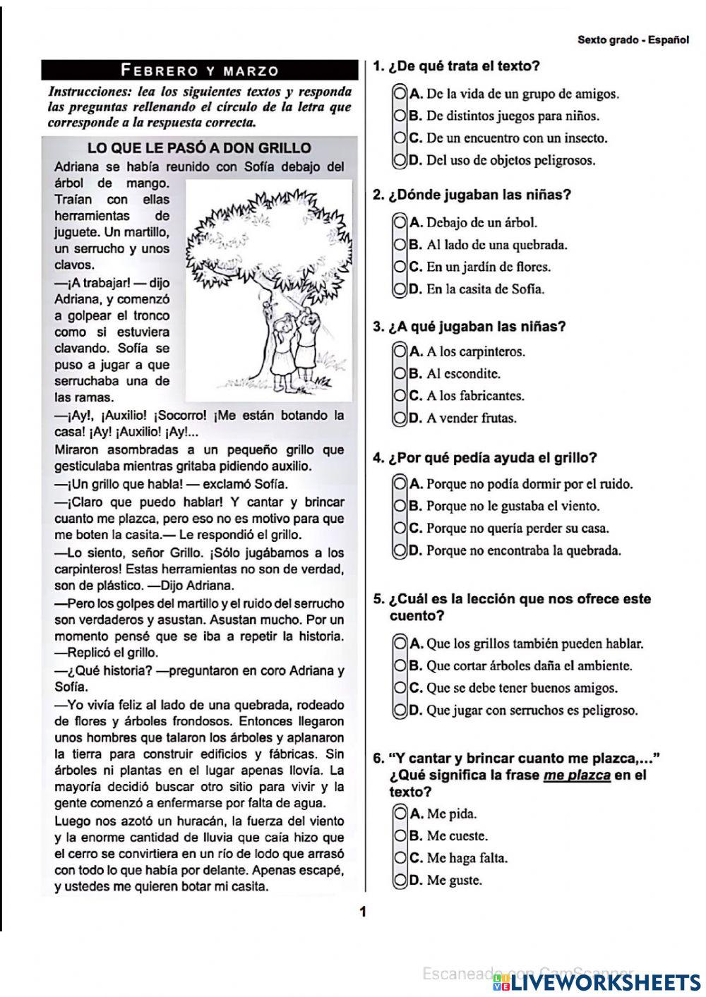 Prueba formativa de sexto de febrero-mayo