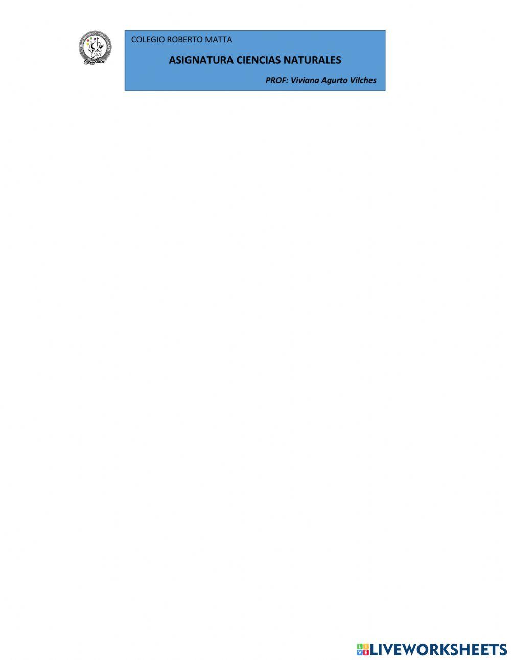 Evidencias de la evolución