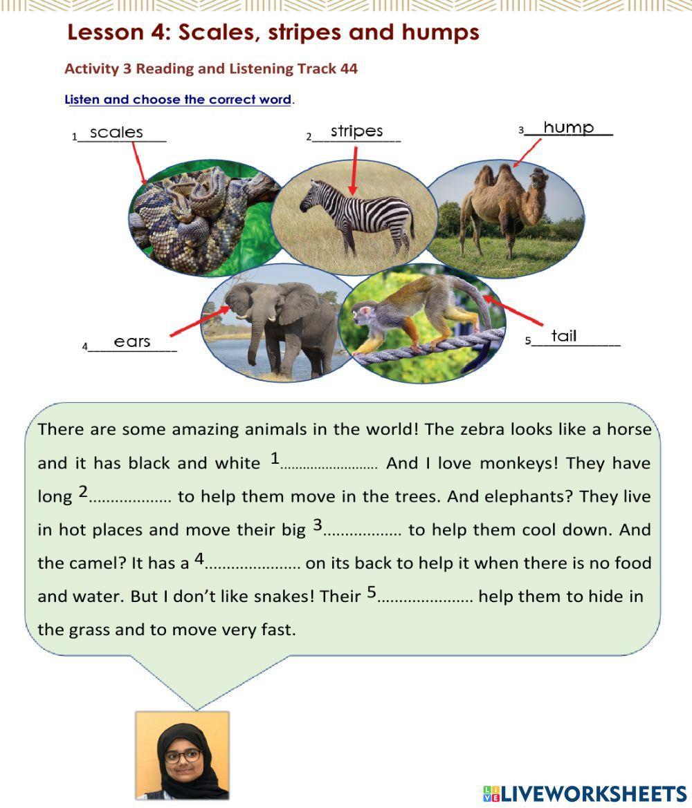 Access 6 - T3 - U8 - L4 - Act 3