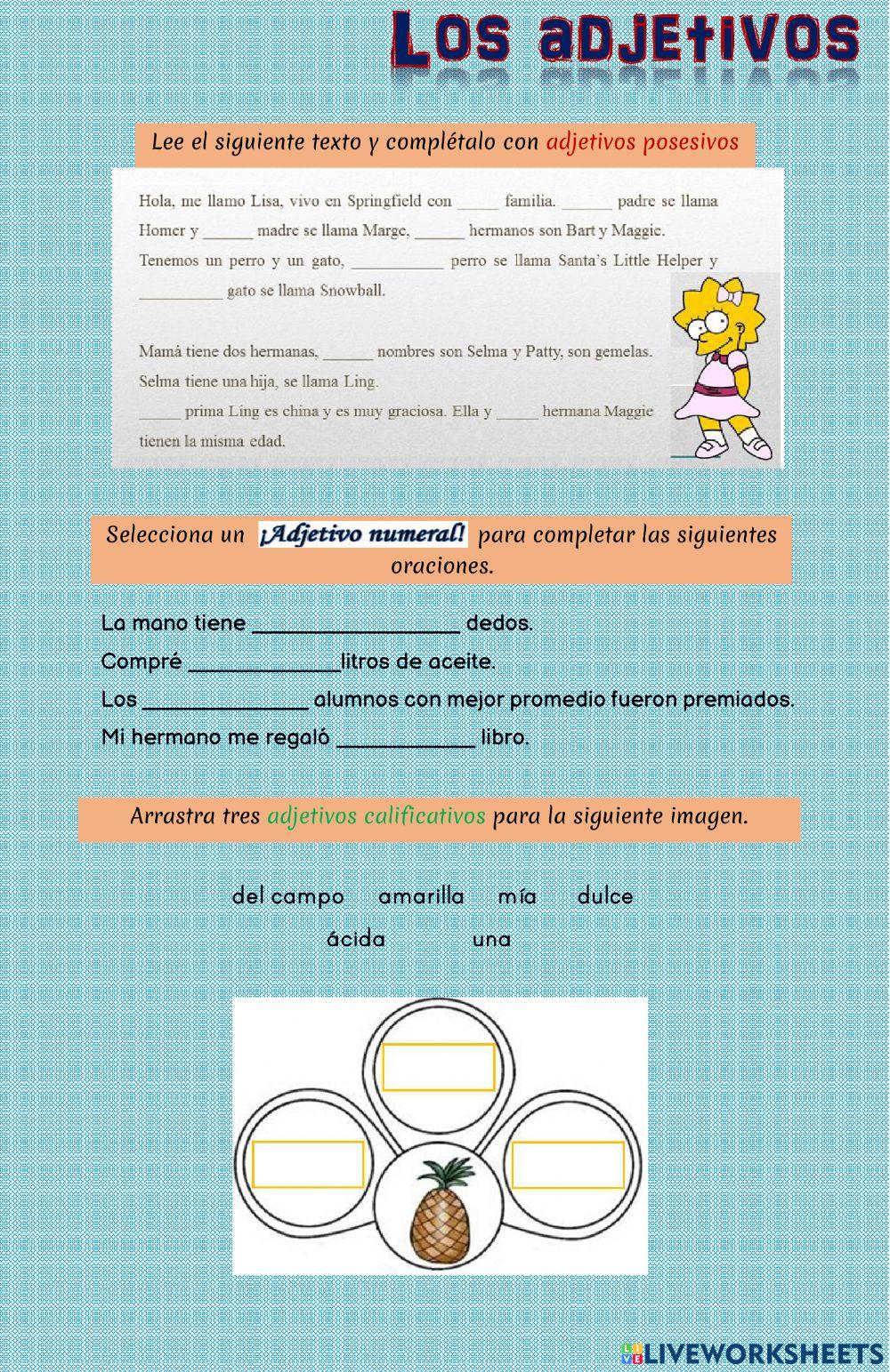 Adjetivos calificativos, posesivos, numeral