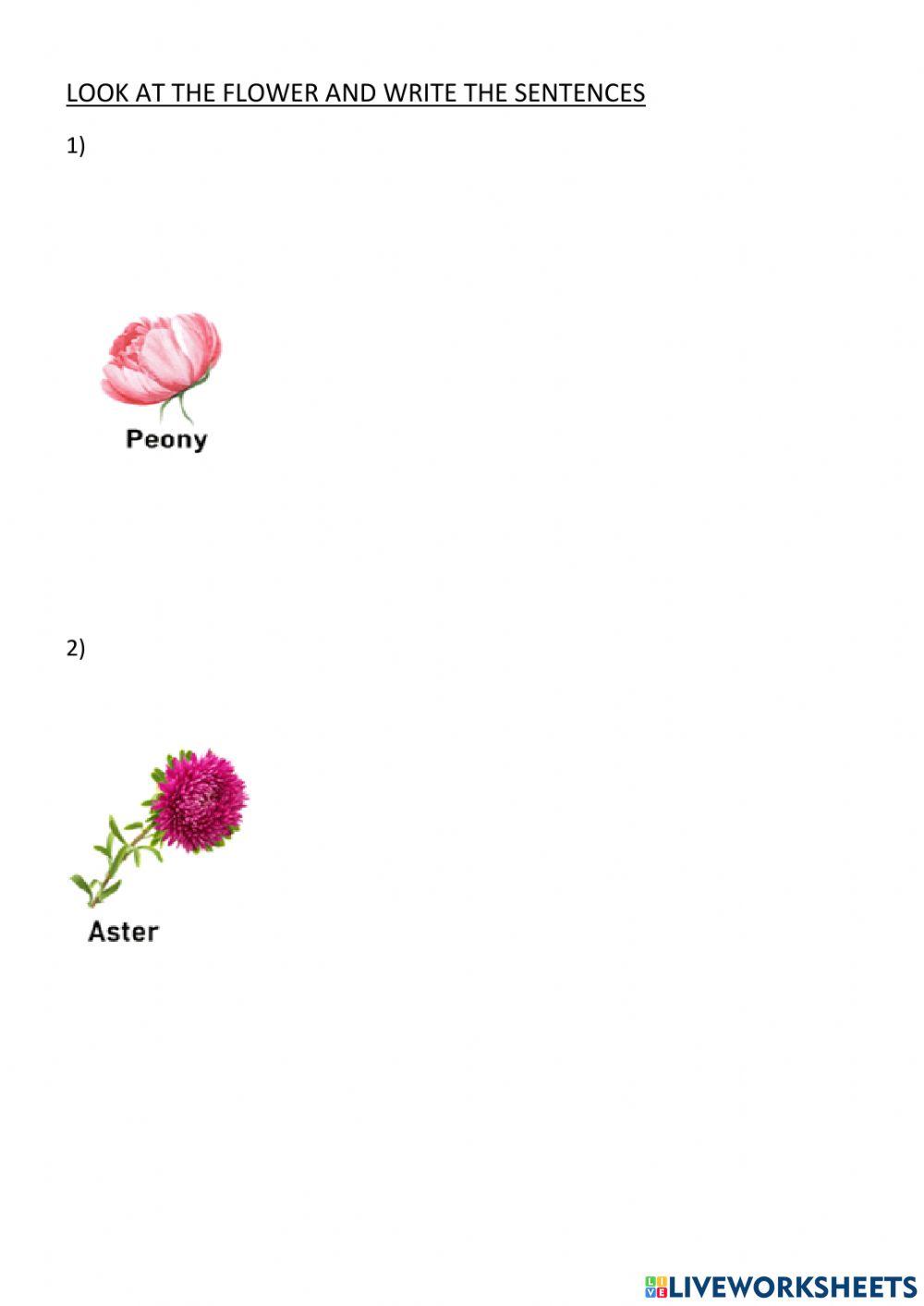 Flowers' description