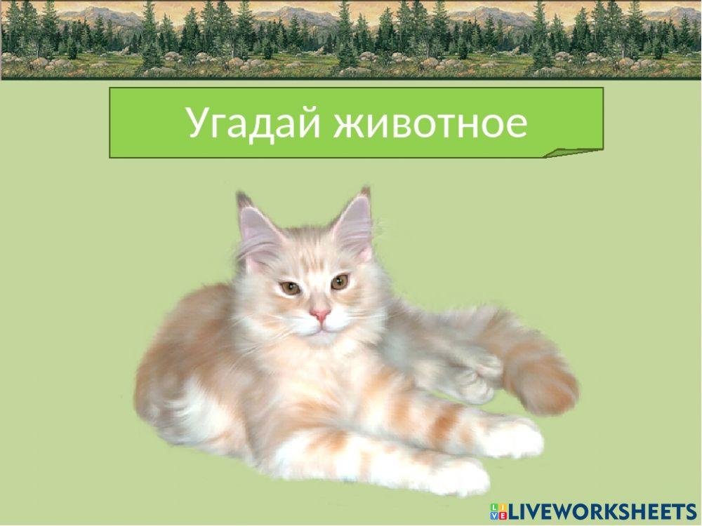 Угадай животного worksheet | Live Worksheets