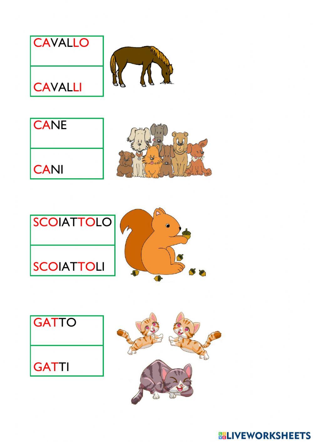 La natura: singolare e plurale