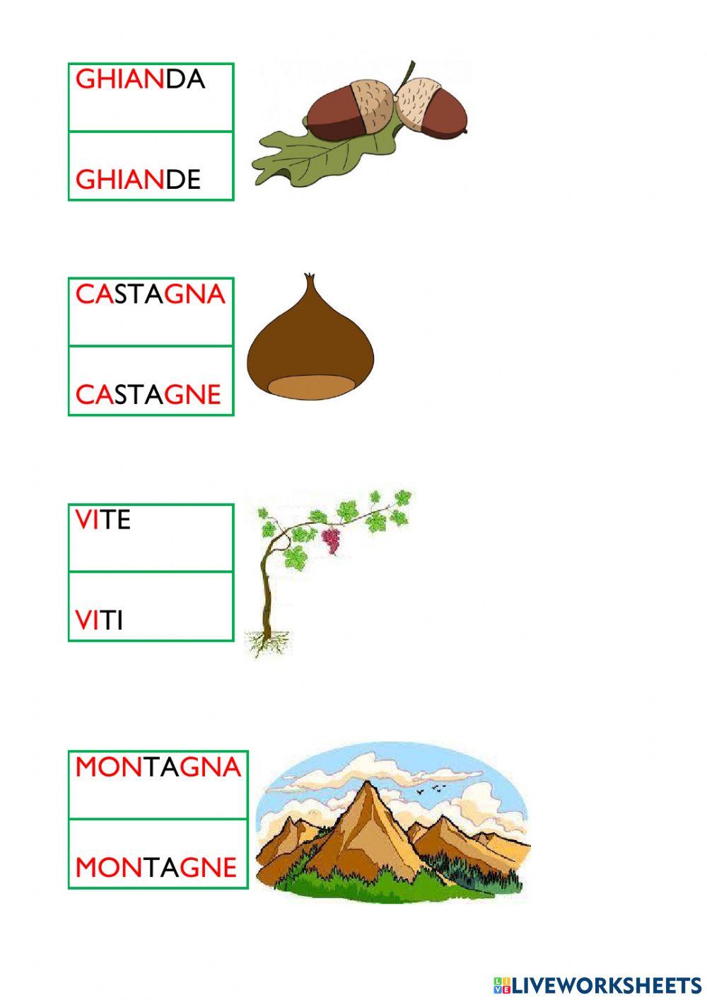 La natura: singolare e plurale