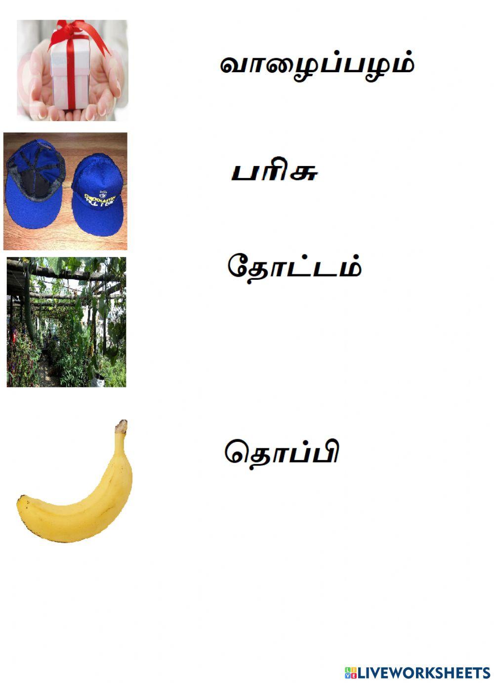 Tamil worksheet for 1 Live Worksheets Tamil worksheet for 1 Live Worksheets