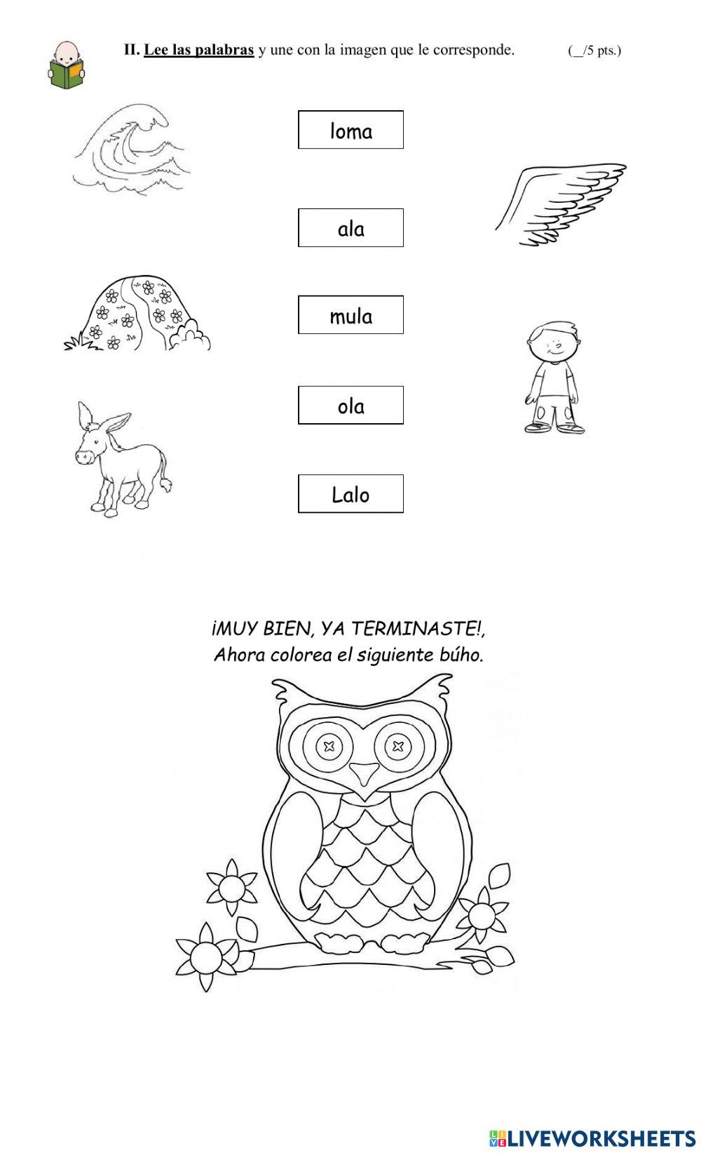 Evaluación lenguaje