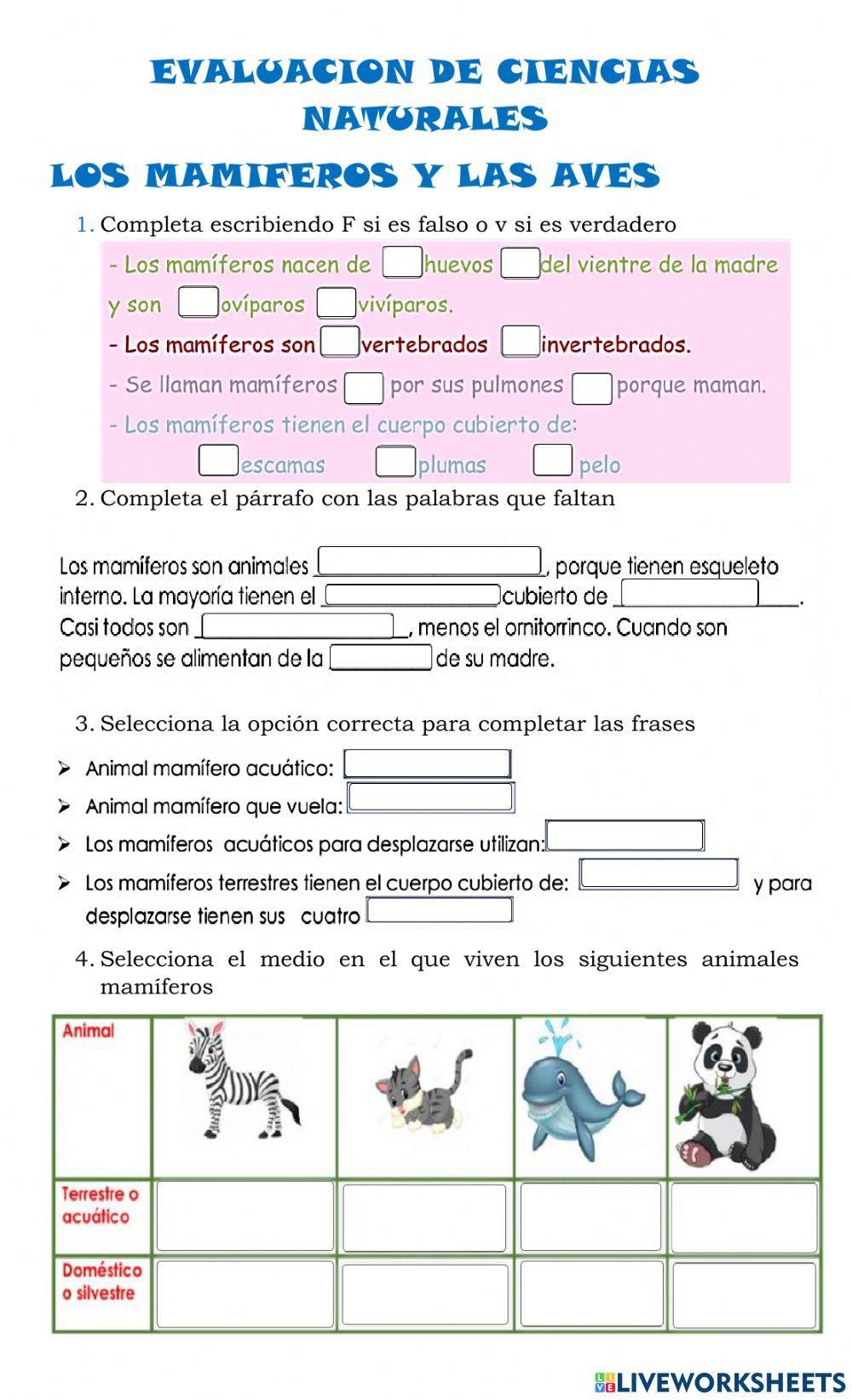 Evaluacion de ciencias