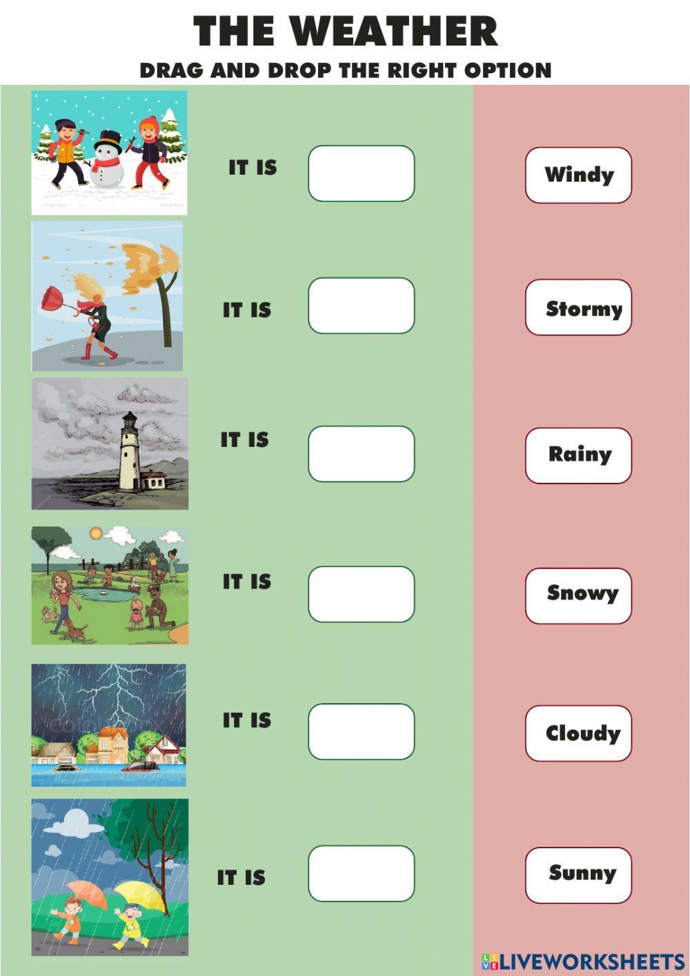 ENGLISH CLASS - Segundo - Activity 2