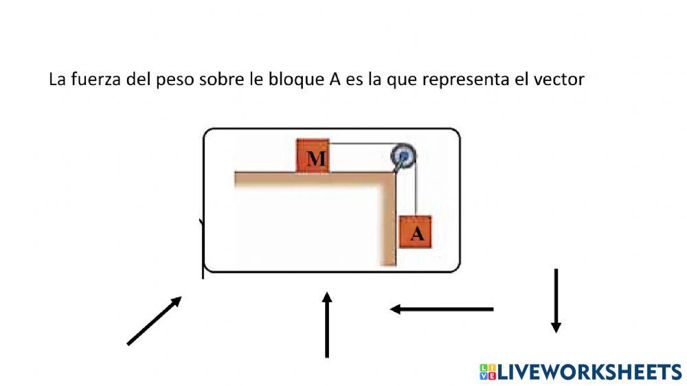 Sustentació física décimo