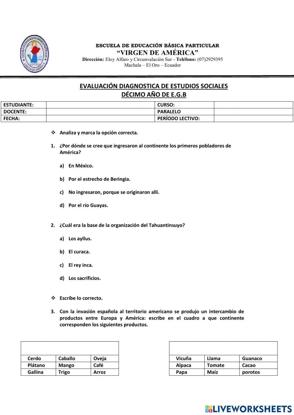 Prueba diagnostica para 10mo egb